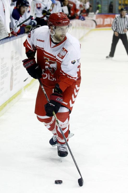 Ice Hockey. International Friendly Match. Poland - Slovakia B. 07.04.2017