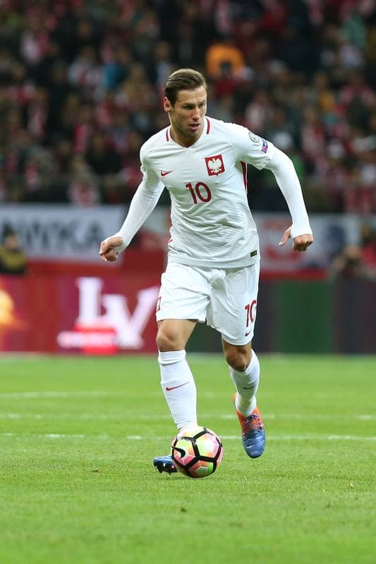 Football. World Cup Qualifiers. Poland - Armenia. 11.10.2016