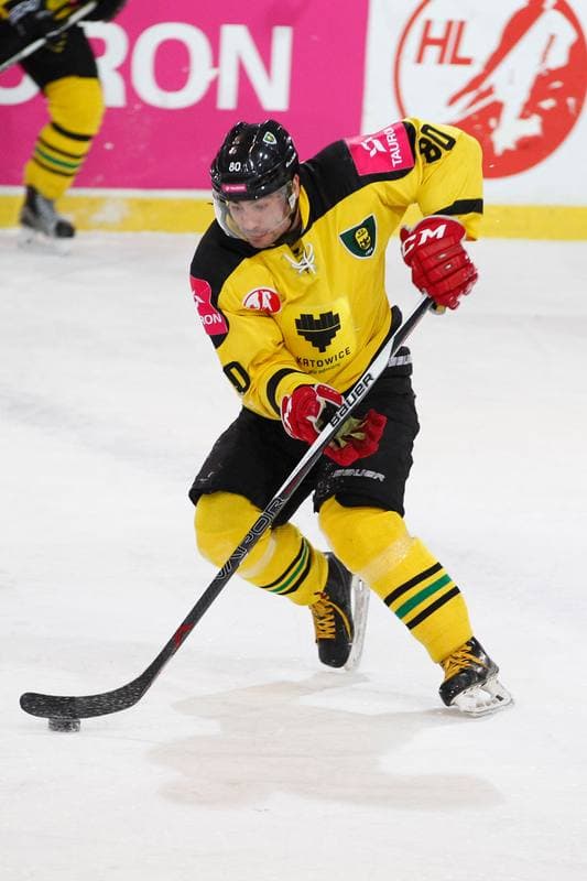Ice Hockey. Polska Hokej Liga. Tauron KH GKS Katowice - Nesta Torun. 06.12.2016