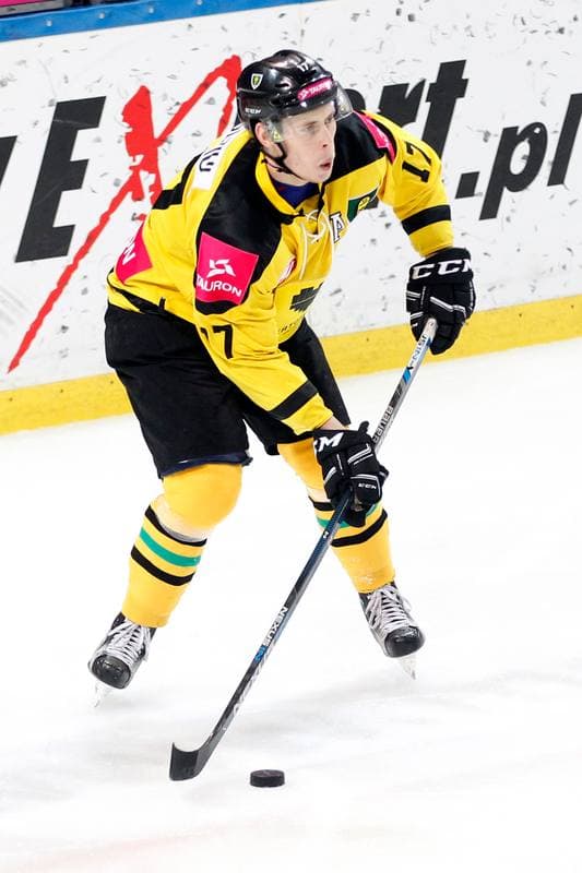 Ice Hockey. Tauron Hokej Liga. Tauron KH GKS Katowice - Nesta Torun. 22.01.2017