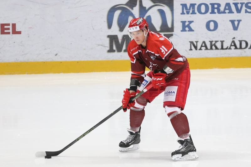 Ice Hockey. WSM Liga. HC Frydek-Mistek - HC Benatky nad Jizerou. 20.02.2017