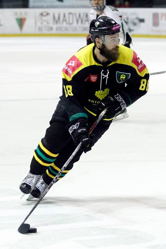 Ice Hockey. Tauron Hokej Liga. GKS Tychy - Tauron GKS Katowice. 21.02.2017