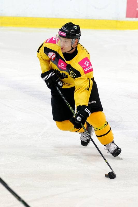 Ice Hockey. Polska Hokej Liga. Tauron KH GKS Katowice - Polonia Bytom. 24.11.2017