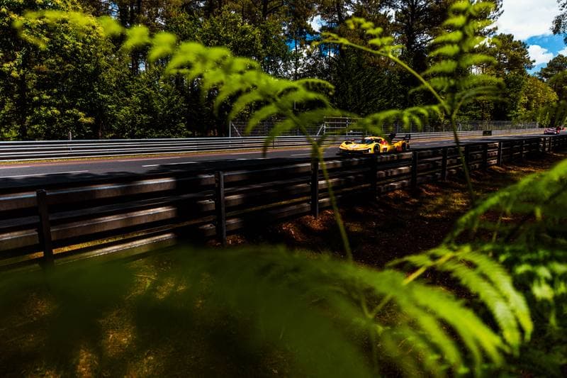 Motorsport. 24 Hours of Le Mans. Qualification. 11.06.2026