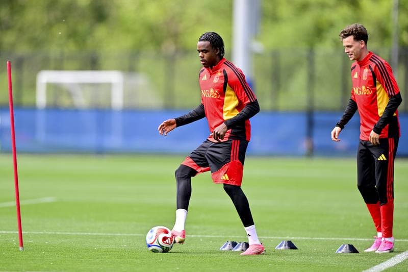 Football. World Cup 2026. Belgium. Training. 10.06.2026