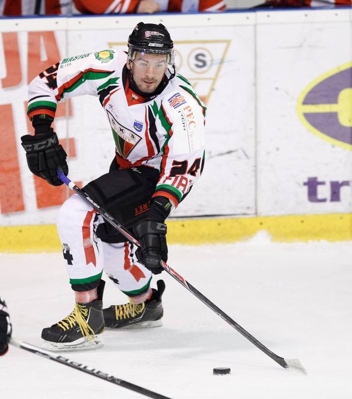 Ice Hockey. Polska Hokej Liga. GKS Tychy - Comarch Cracovia Krakow. 19.01.2014