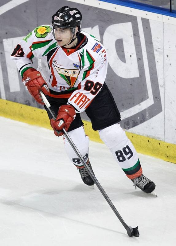 Ice Hockey. Polska Hokej Liga. GKS Tychy - Comarch Cracovia Krakow. 19.01.2014