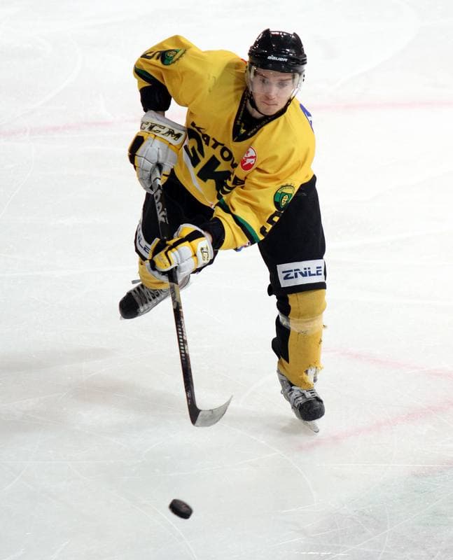 Ice Hockey. Polska Hokej Liga. HC GKS Katowice - GKS Tychy. 11.01.2015