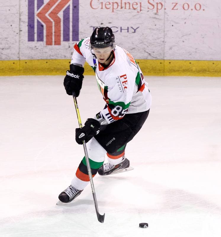 Ice Hockey. Polska Hokej Liga. GKS Tychy - HC GKS Katowice. 12.10.2014