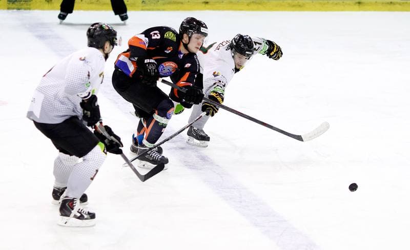 Ice Hockey. Polska Hokej Liga. Naprzod Janow - Ciarko KH Sanok. 18.01.2015
