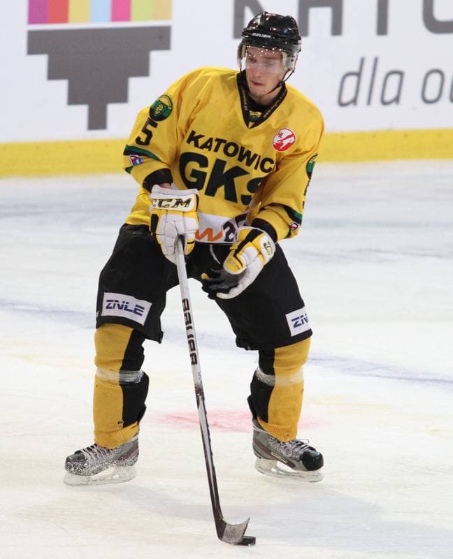 Ice Hockey. Polska Hokej Liga. HC GKS Katowice - GKS Tychy. 11.01.2015
