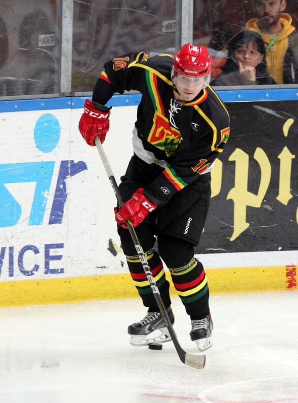 Ice Hockey. Polska Hokej Liga. HC GKS Katowice - KTH Krynica. 21.02.2014