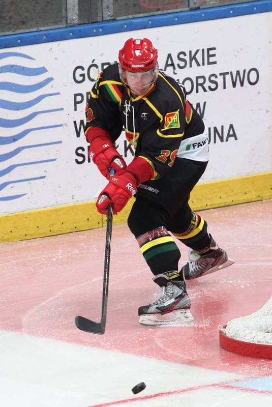 Ice Hockey. Polska Hokej Liga. HC GKS Katowice - KTH Krynica. 21.02.2014