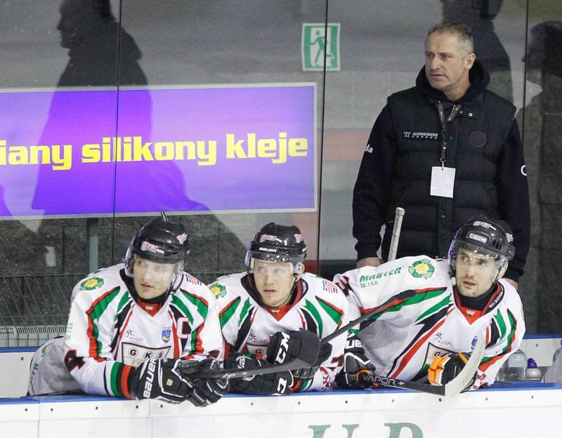 Ice Hockey. Polska Hokej Liga. GKS Tychy - Comarch Cracovia Krakow. 19.01.2014