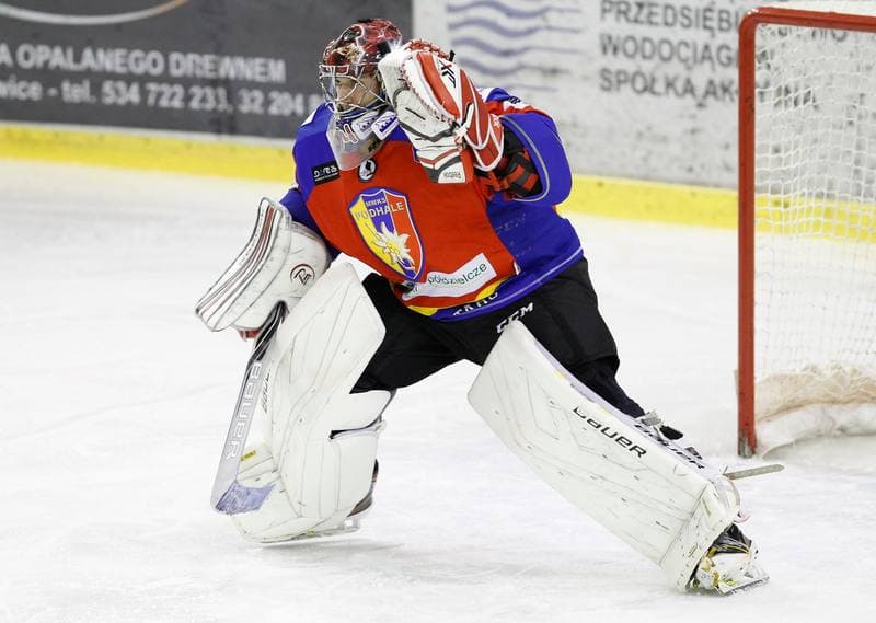 Ice Hockey. Polska Hokej Liga. Naprzod Janow - Podhale Nowy Targ. 14.11.2014