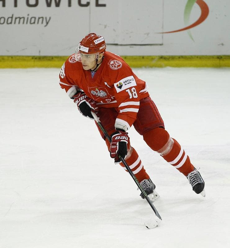 Ice Hockey. Euro Ice Hockey Challenge. Poland - Austria. 07.11.2015