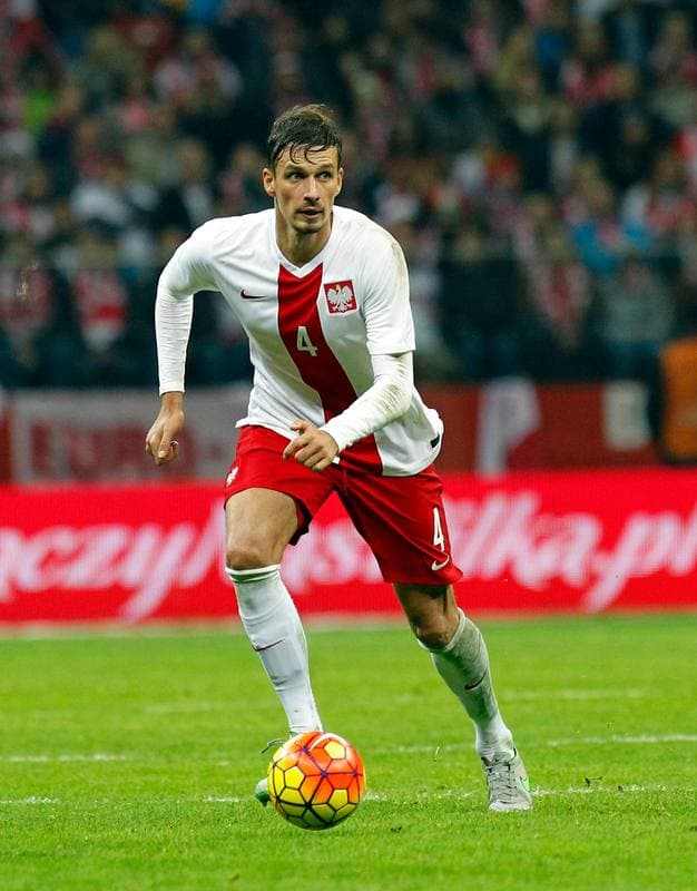 Football. International Friendly. Poland - Iceland. 13.11.2015