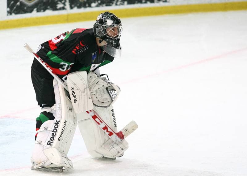 Ice Hockey. Polska Hokej Liga. HC GKS Katowice - GKS Tychy. 11.01.2015