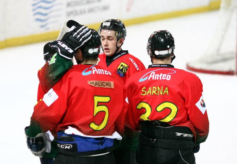 Ice Hockey. Polska Hokej Liga. HC GKS Katowice - Naprzod Janow. 10.02.2015