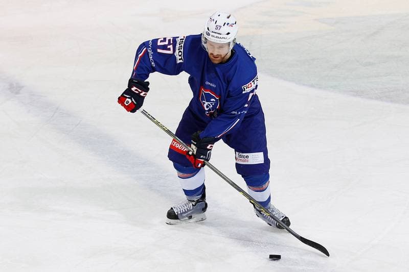 Ice Hockey. EIHC. Kazakhstan - France. 17.12.2015