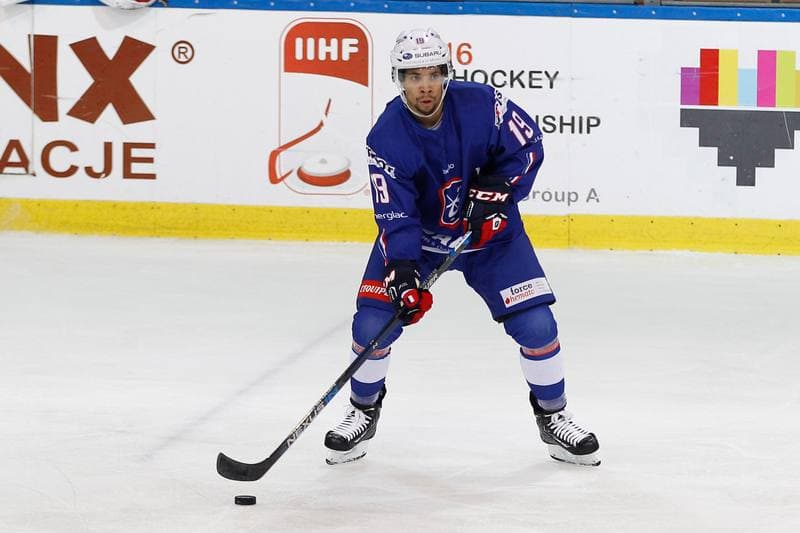 Ice Hockey. EIHC. France - Italy. 18.12.2015