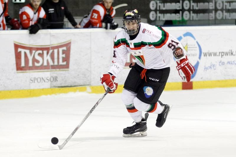 Ice Hockey. Polska Hokej Liga. GKS Tychy - Comarch Cracovia Krakow. 26.01.2016