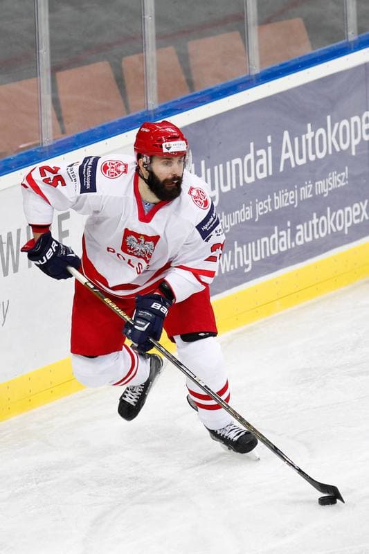 Ice Hockey. Friendly Match. Poland - Stars of PHL. 06.02.2016