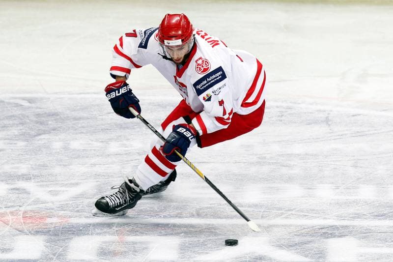 Ice Hockey. Friendly Match. Poland - Stars of PHL. 06.02.2016