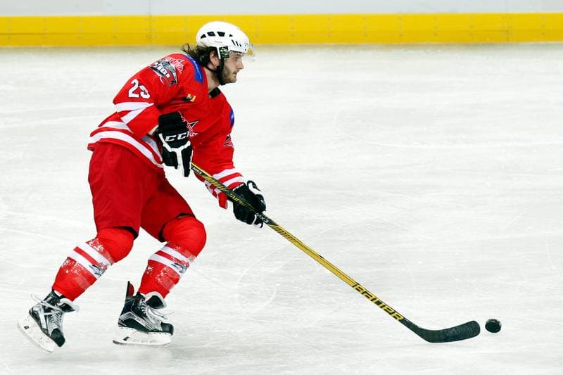 Ice Hockey. Friendly Match. Poland - Stars of PHL. 06.02.2016
