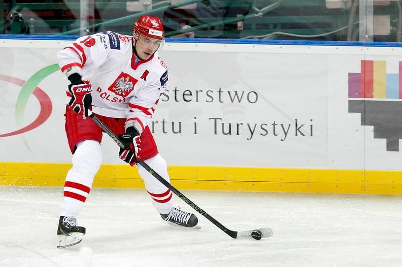 Ice Hockey. Friendly Match. Poland - Stars of PHL. 06.02.2016