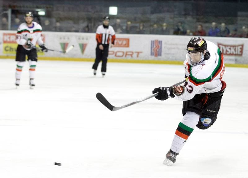 Ice Hockey. Polish Hockey League. GKS Tychy - Comarch Cracovia. 24.03.2016