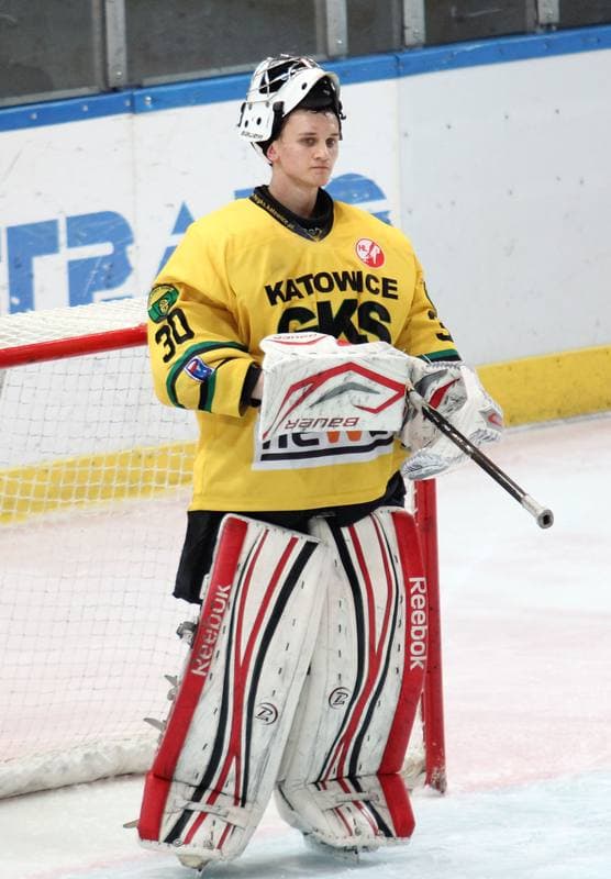 Ice Hockey. Polska Hokej Liga. HC GKS Katowice - GKS Tychy. 11.01.2015