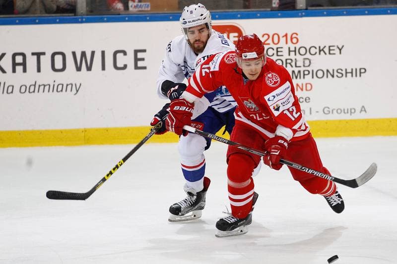 Ice Hockey. EIHC. Poland - France. 19.12.2015