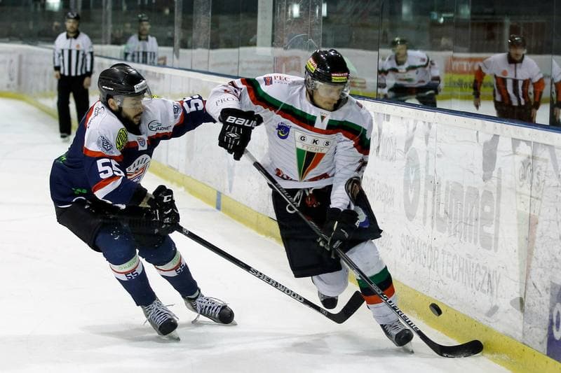 Ice Hockey. Polska Hokej Liga. GKS Tychy - Ciarko STS Sanok. 15.01.2016