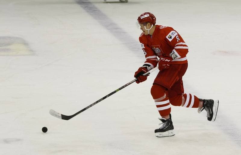 Ice Hockey. Euro Ice Hockey Challenge. Poland - Austria. 07.11.2015