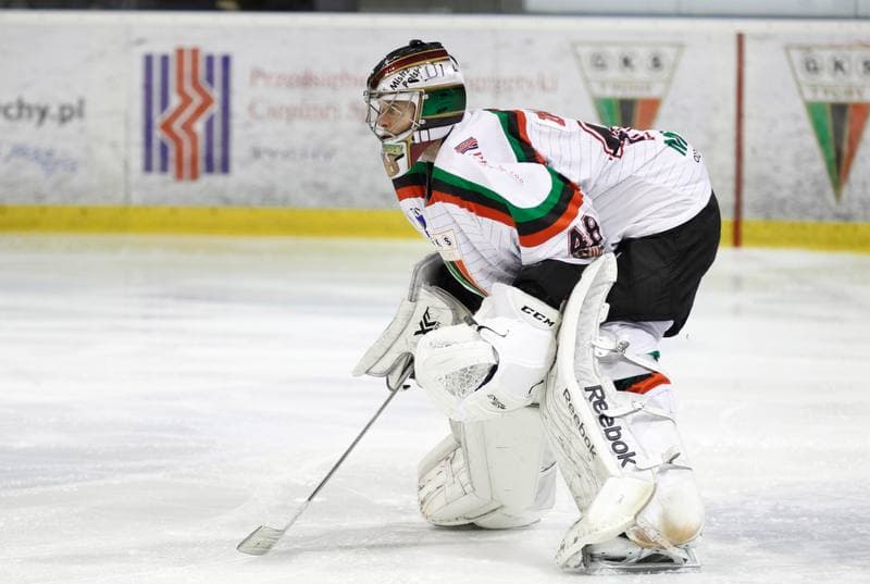 Ice Hockey. Polska Hokej Liga. GKS Tychy - Tatryski Podhale Nowy Targ. 01.03.2016
