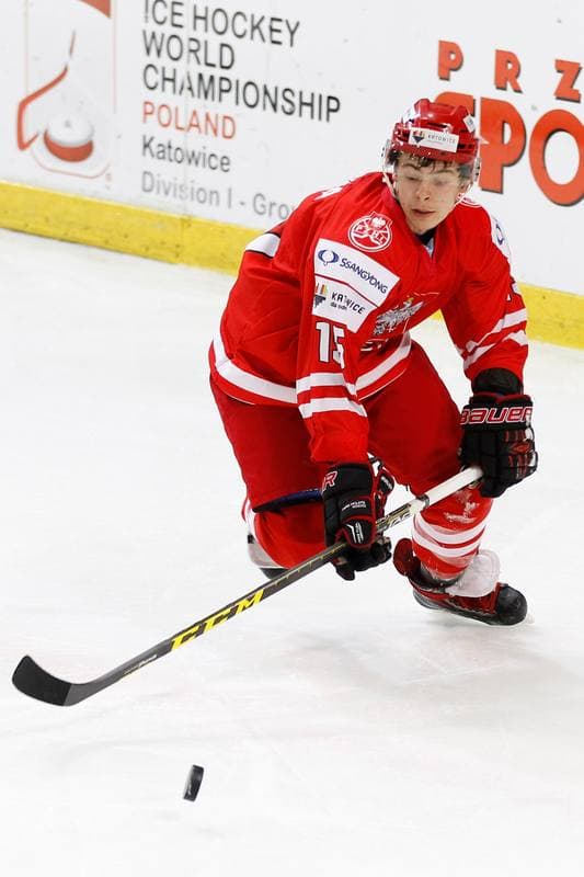 Ice Hockey. EIHC. Poland - Italy. 17.12.2015