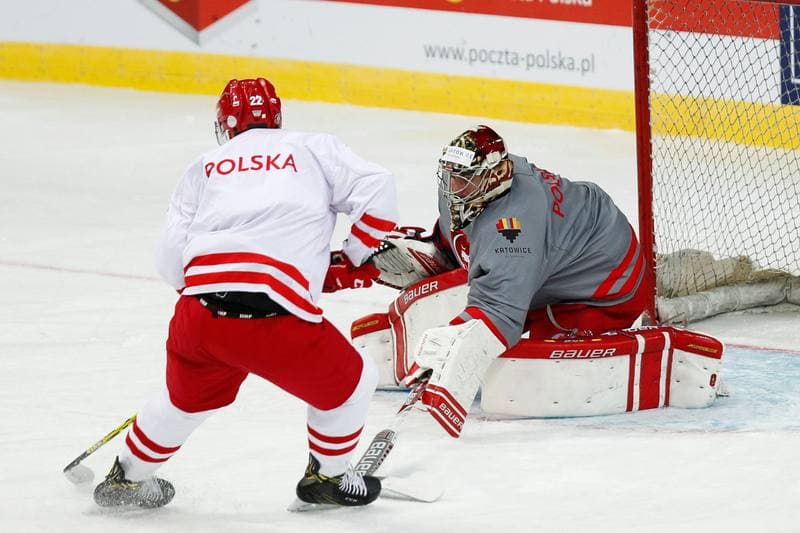 Ice Hockey. Poland national team. Training. 24.04.2016