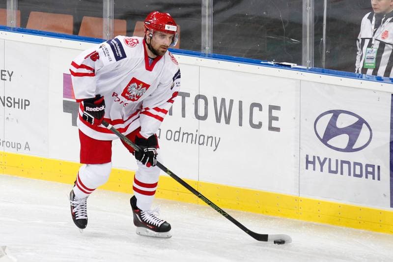 Ice Hockey. Friendly Match. Poland - Stars of PHL. 06.02.2016