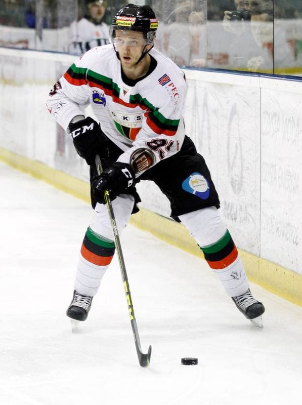 Ice Hockey. Polish Hockey League. GKS Tychy - Comarch Cracovia. 24.03.2016