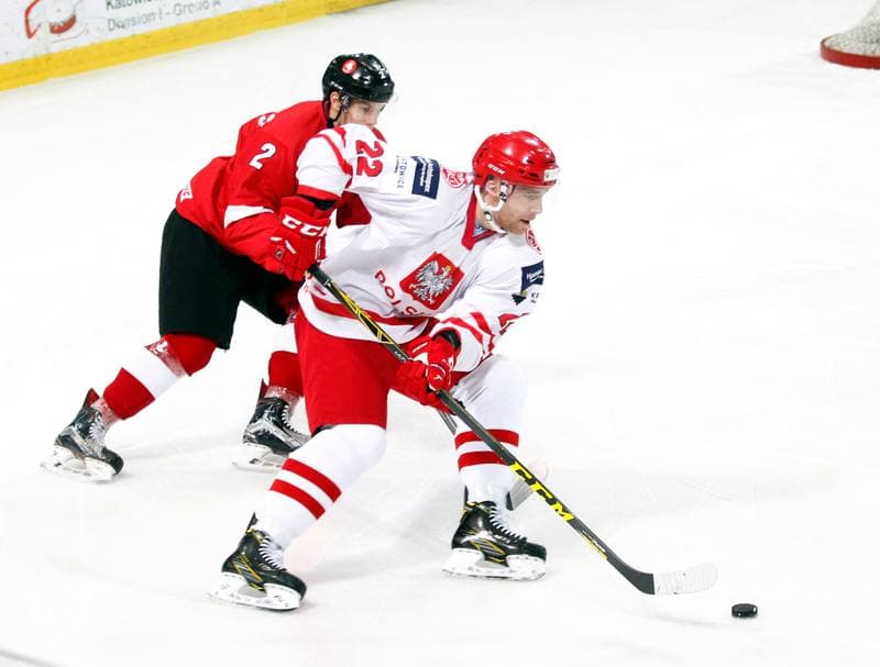 Ice Hockey. International Friendly Match. Poland - Lithuania. 14.04.2016