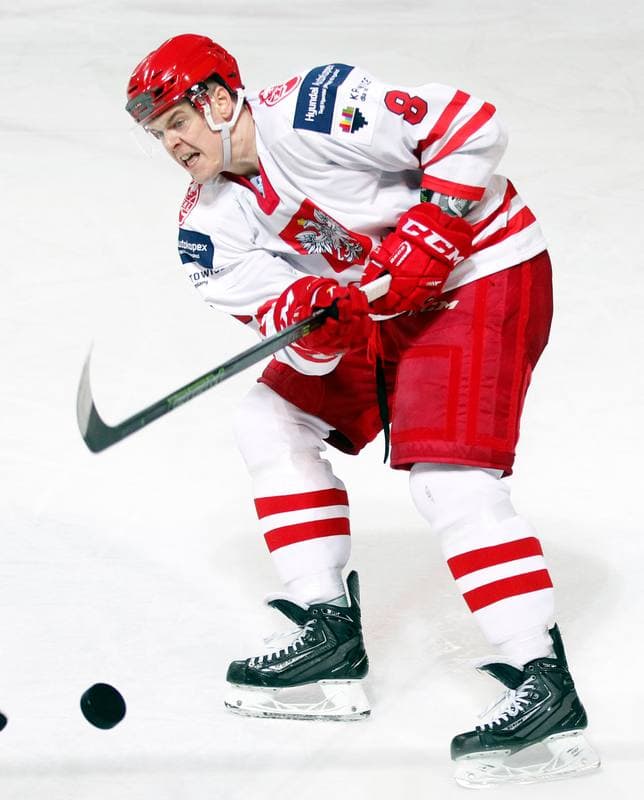 Ice Hockey. International Friendly Match. Poland - Lithuania. 14.04.2016