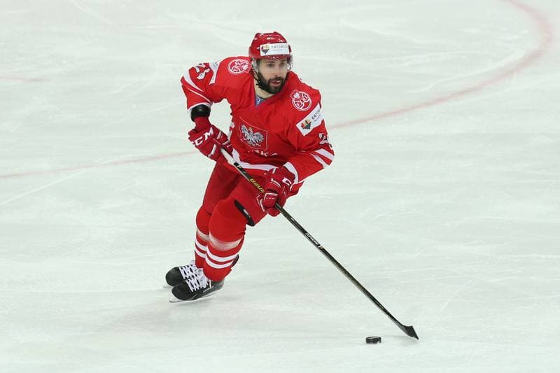 Ice Hockey. World Championship Division 1A. Poland - Japan. 29.04.2016