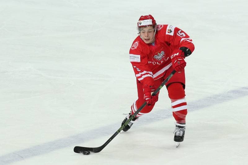 Ice Hockey. World Championship Division 1A. Poland - Japan. 29.04.2016