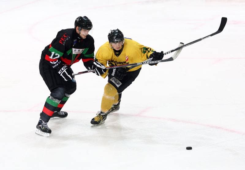 Ice Hockey. Polska Hokej Liga. HC GKS Katowice - GKS Tychy. 11.01.2015