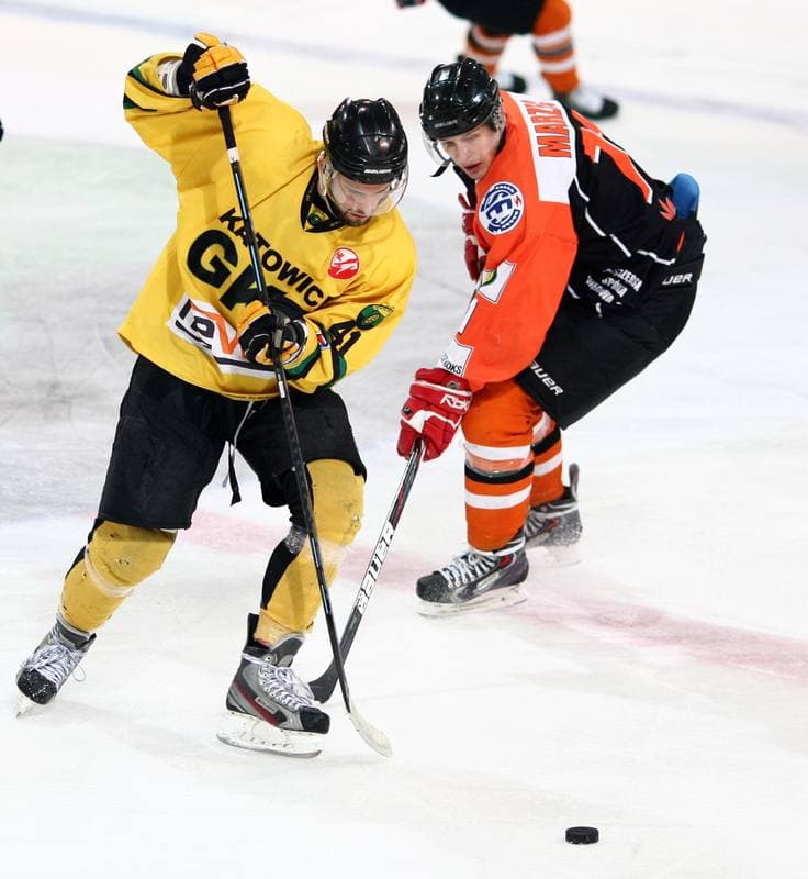 Ice Hockey. Polska Hokej Liga. HC GKS Katowice - JKH GKS Jastrzebie. 16.01.2015