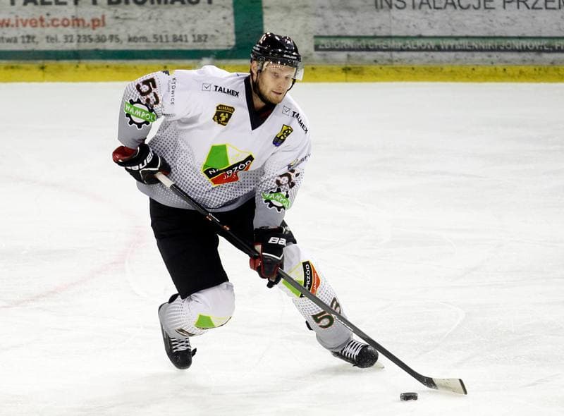 Ice Hockey. Polska Hokej Liga. Naprzod Janow - Ciarko KH Sanok. 18.01.2015