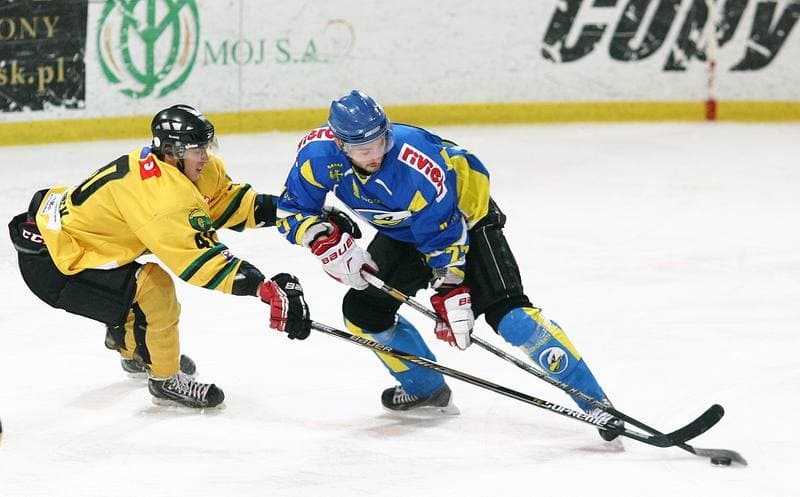 Ice Hockey. Polska Hokej Liga. HC GKS Katowice - Orlik Opole. 27.01.2015