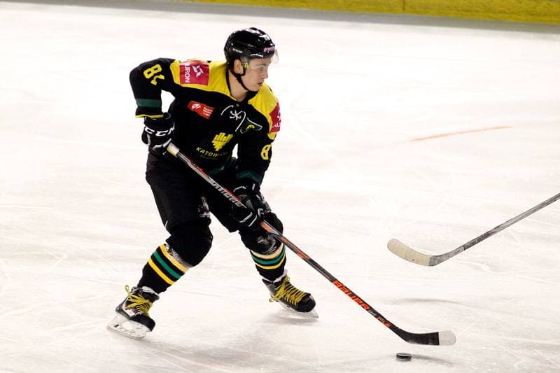Ice Hockey. Polska Hokej Liga. SMS PZHL Sosnowiec - Tauron KH GKS Katowice. 31.01.2017