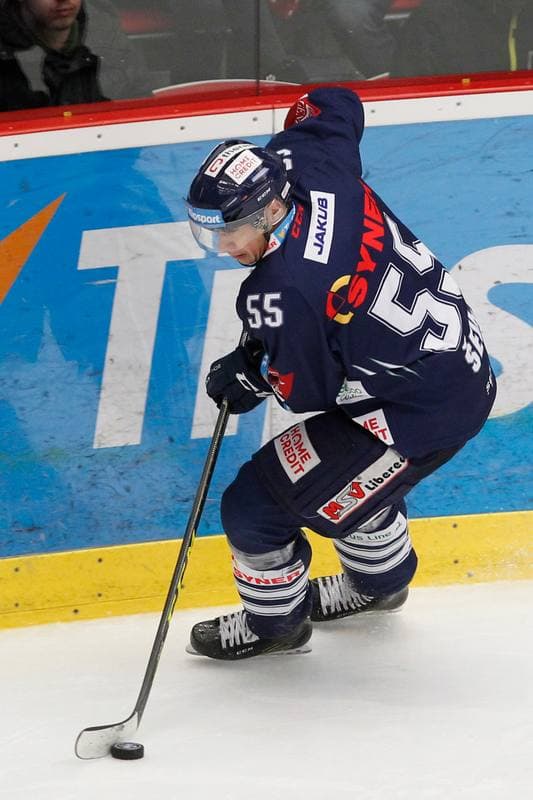 Ice Hockey. Tipsport Extraliga. Ocelari Trinec - Bili Tygri Liberec. 05.02.2017